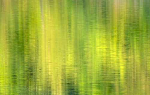 Abstract;Abstractions;Alabama;Brook;Creek;Fort Payne;Green;Little River Canyon National Preserve;Patterns;Reflection;Reflections;River;River Bed;Riverbed;Rivers;Shapes;Stream;Textures;Water;water;waterway